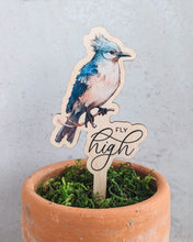 Load image into Gallery viewer, Bird Plant Tag with a Greeting Text