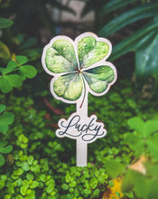 Load image into Gallery viewer, Lucky Clover Tag - Wooden Plant Tag with a Greeting Text - Plant Marker, Flower Stick, Garden stakes, Garden label