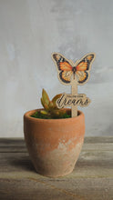 Load and play video in Gallery viewer, Butterfly plant friend
